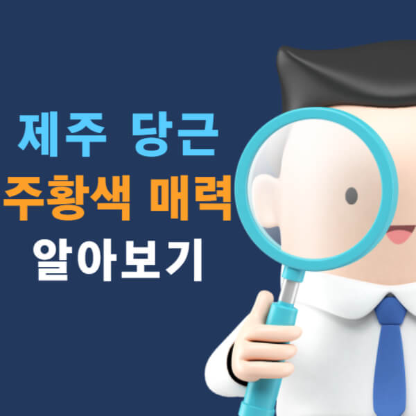 제주 당근 주황색 매력