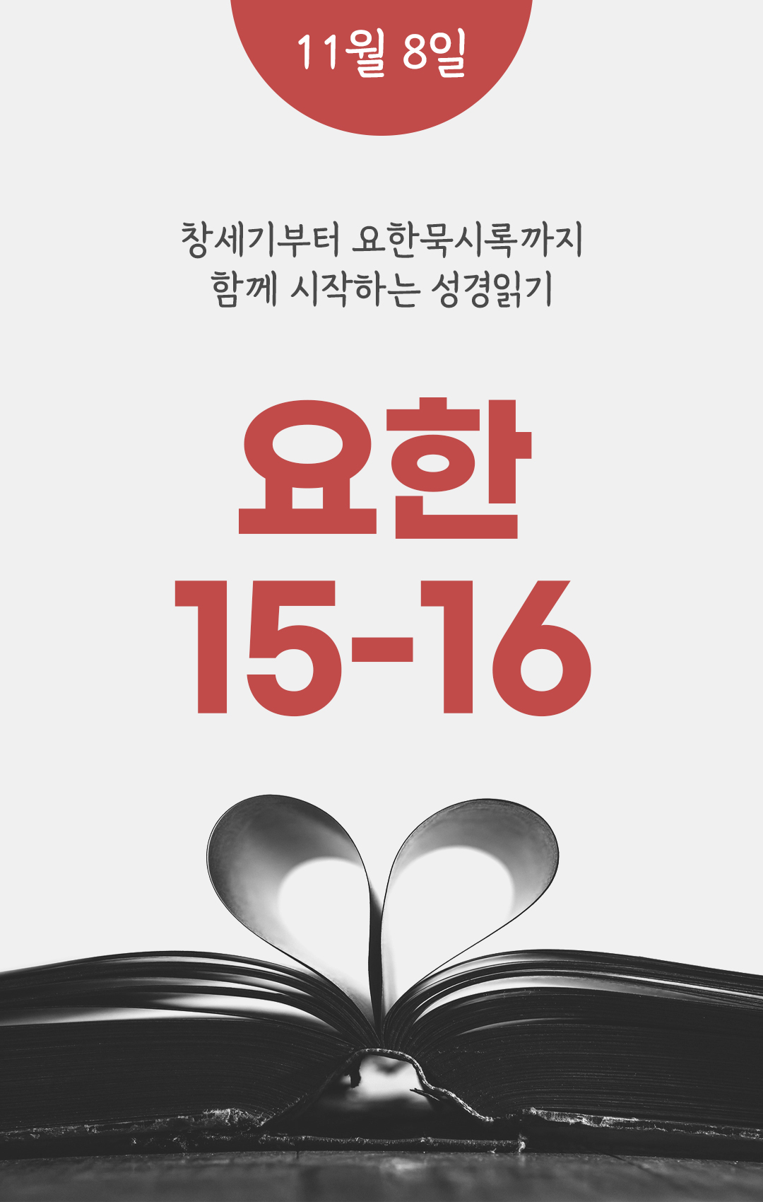 11월 8일 천주교 성경읽기
