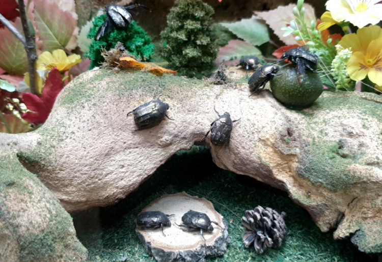 부천 자연생태공원