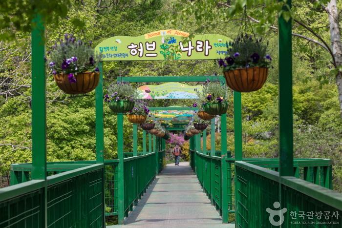 평창 가볼만한곳 베스트 10
