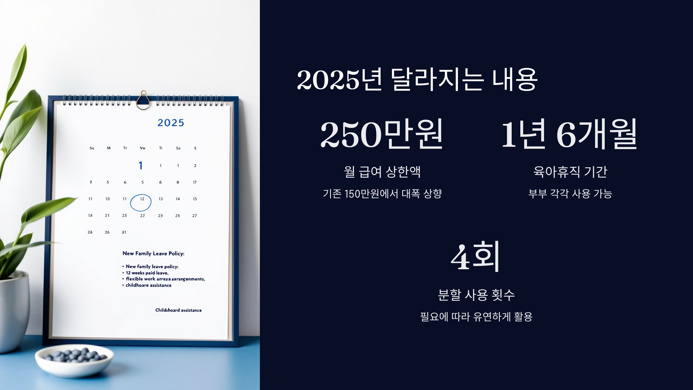 2025년 달라지는 내용