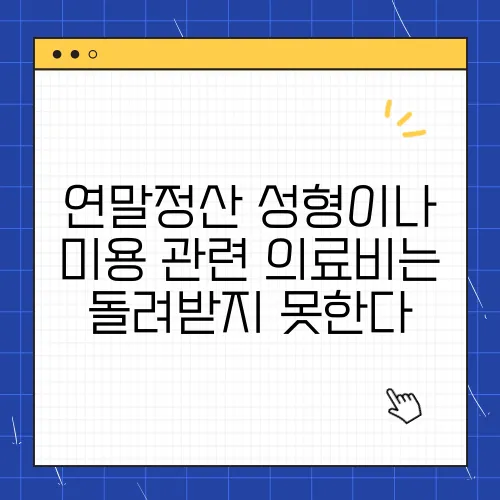 연말정산 성형이나 미용 관련 의료비는 돌려받지 못한다
