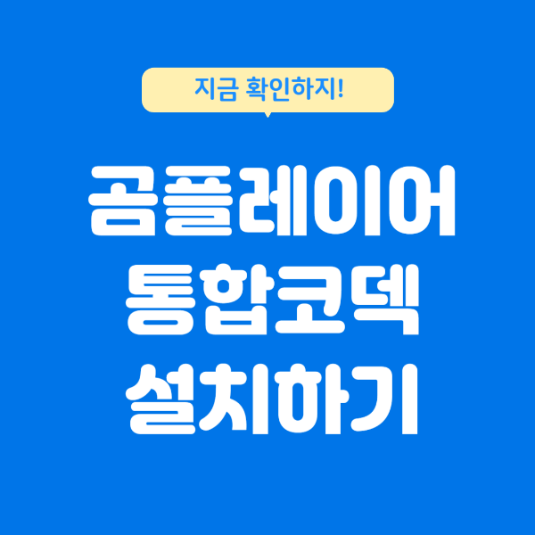곰플레이어 통합코덱 다운