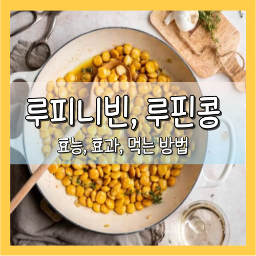 루핀콩의 효능 효과 먹는 방법