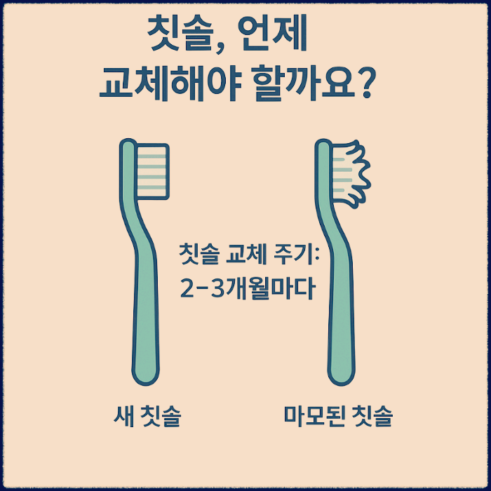 칫솔 교체주기