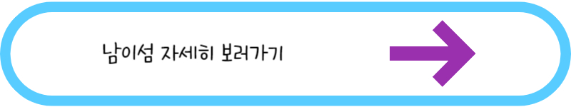 남이섬 자세히 보러가기
