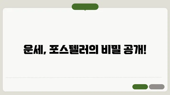 운세 해석을 위한 포스텔러의 비밀 노하우
