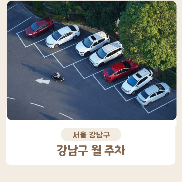 강남구 월 주차