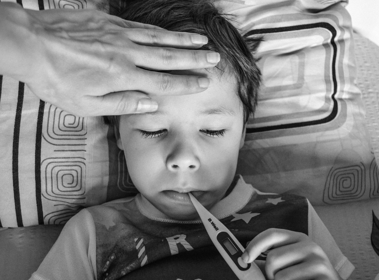 독감 무료접종 대상