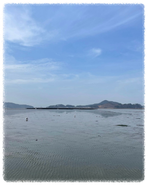 신두리해수욕장