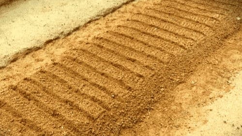 당귀재배법-당귀-직파재배-재배시기-파종시기-파종방법-수확시기