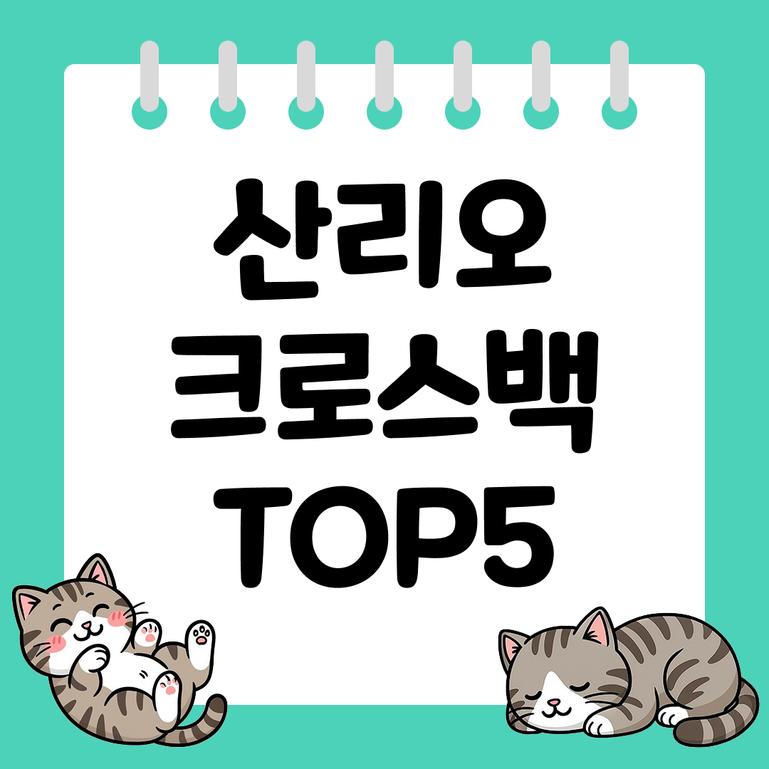 귀엽고 실용적인 일상 가방, 산리오 크로스백 추천 순위 TOP5