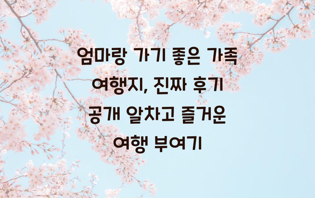 엄마랑 가기 좋은 가족 여행지, 진짜 후기 공개