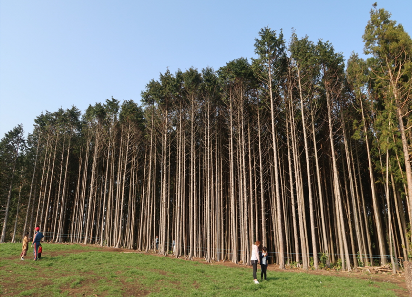 제주도 가볼만한 곳