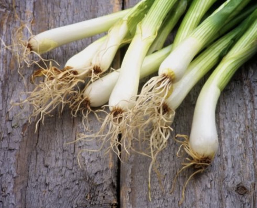 감기와 바이러스감기 ,A형 독감 이런 차이점.