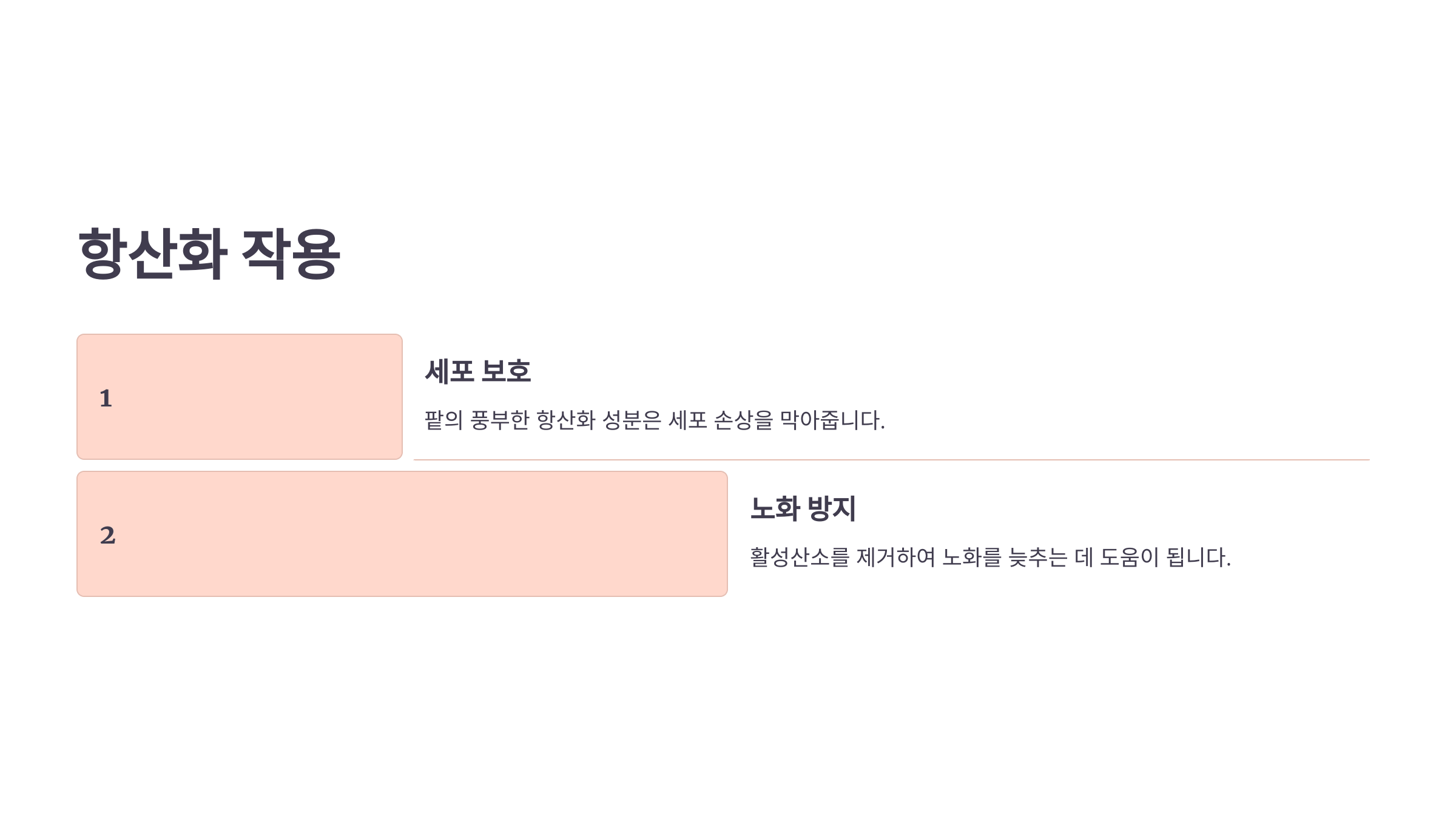 팥 사진입니다.