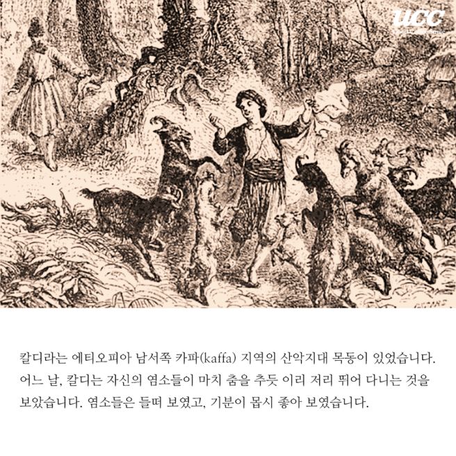 칼디의 전설