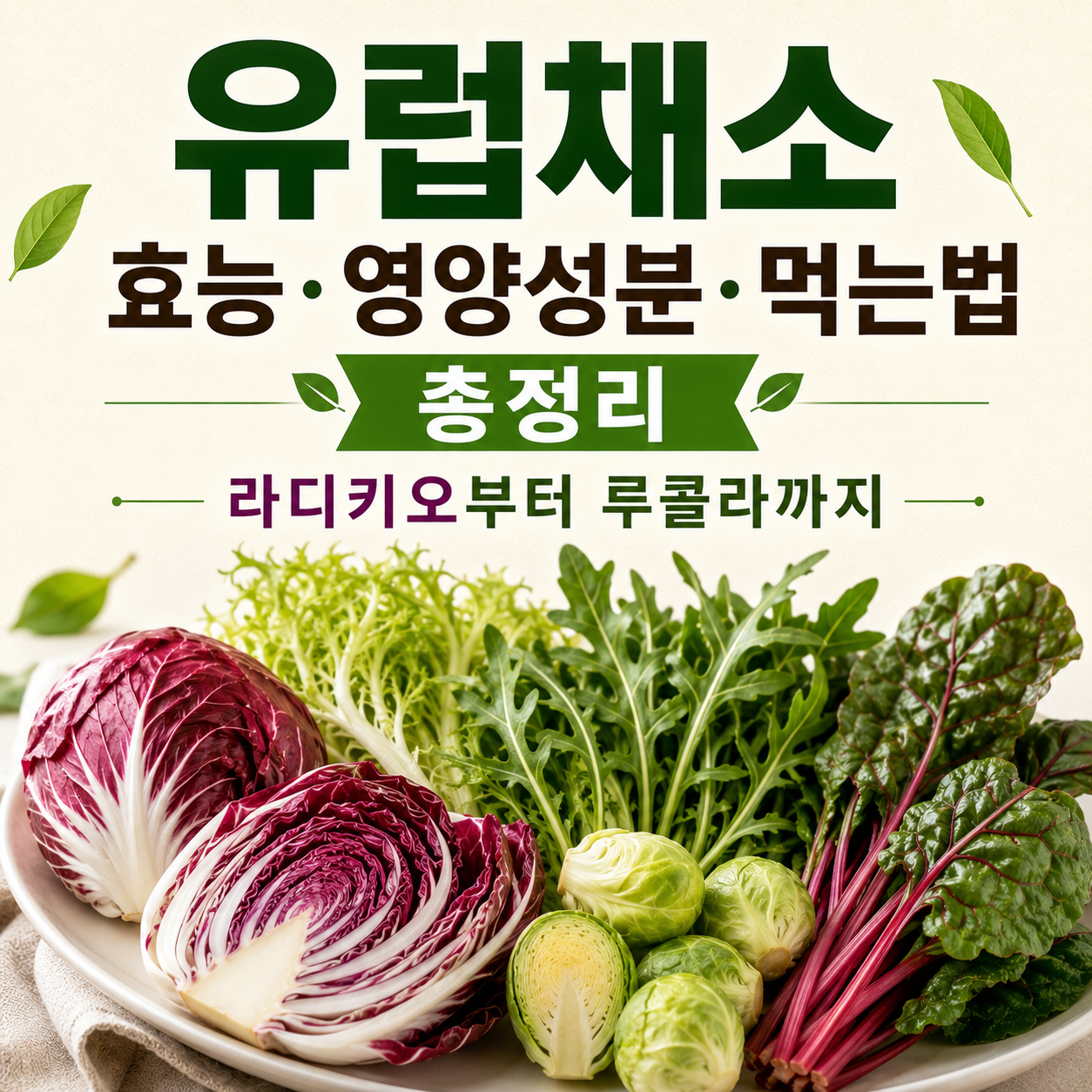 유럽채소