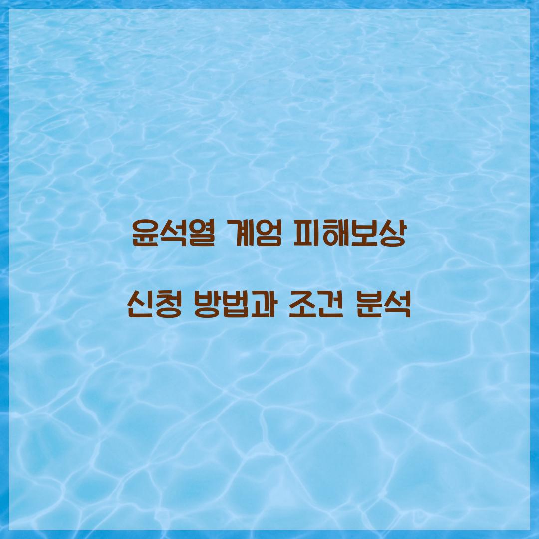 윤석열 계엄 피해보상 신청