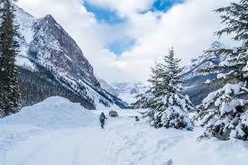 캐나다 눈 이미지