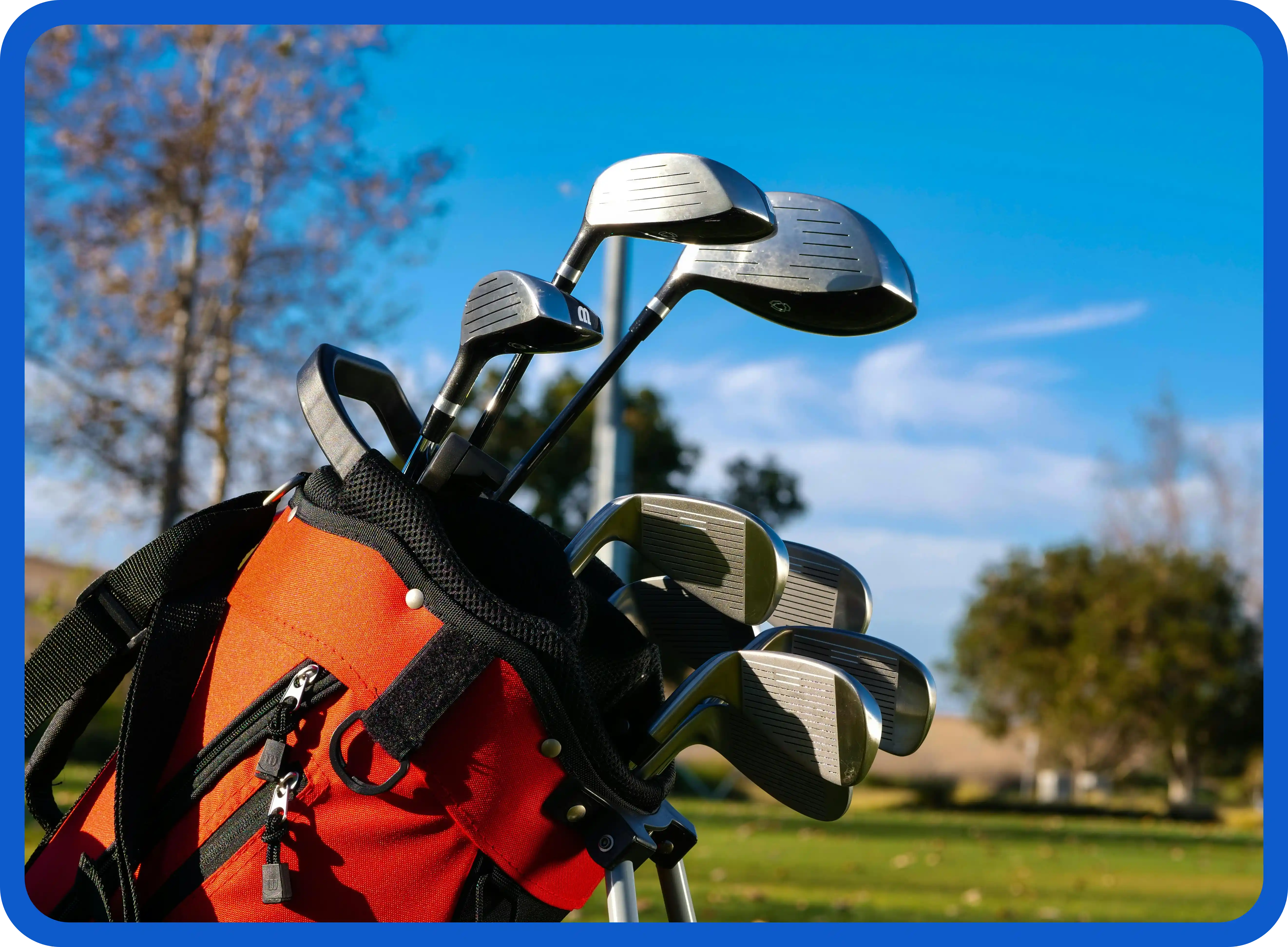 2024년 파크골프 규정 개정