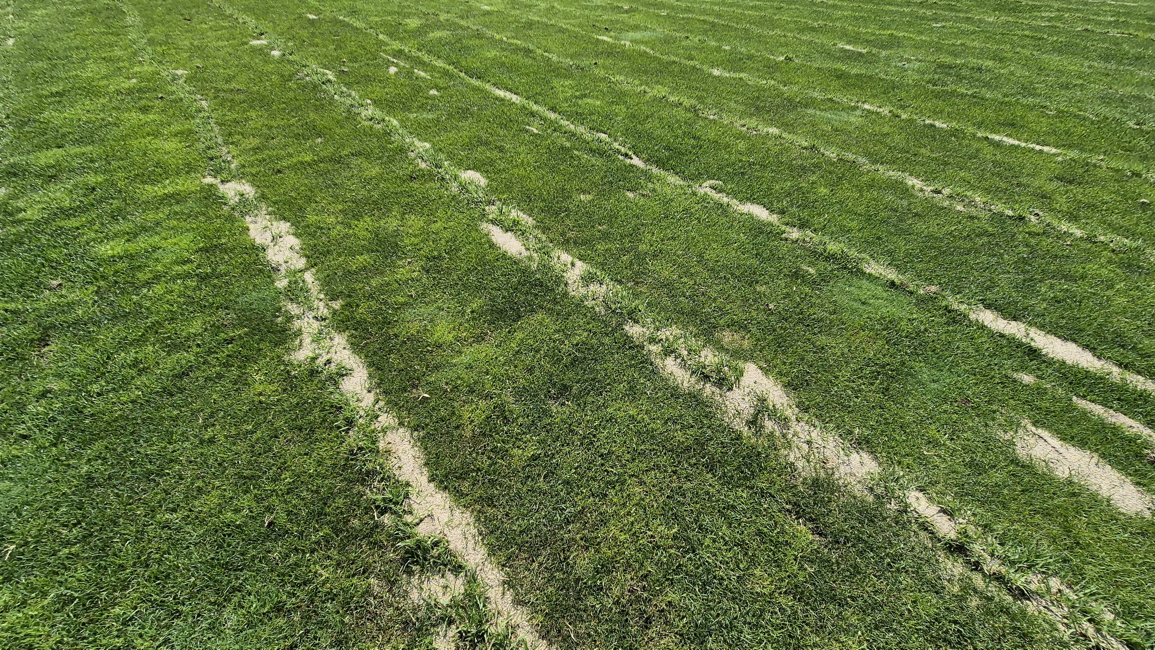 샤인데일cc 라운드 후기