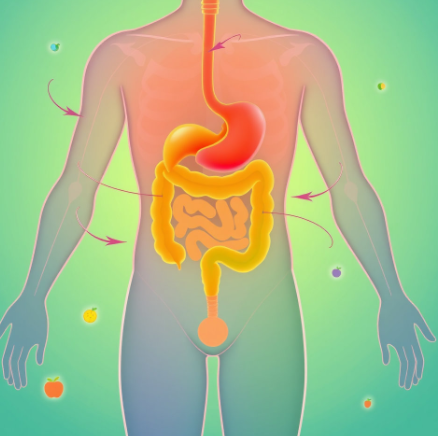 빨간물-다이어트-내돈내산-후기-성분-복용법