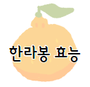 레드향 효능11가지와 칼로리 및 보관법, 부작용