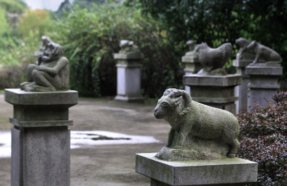 2025년 삼재띠 및 삼재에 대처하는 피하가는 방법
