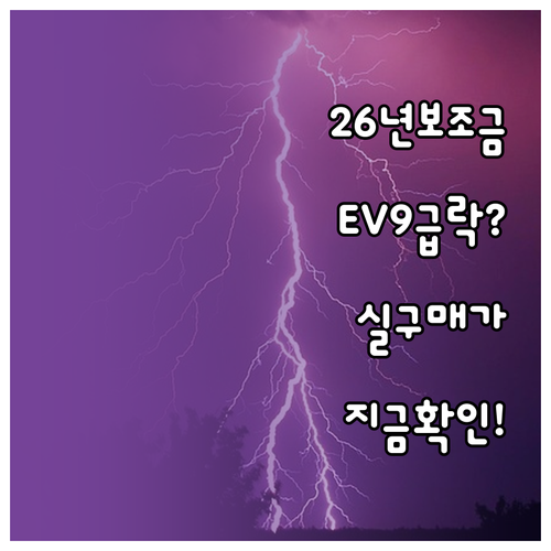 2026년 전기차 보조금 개편안에 따..