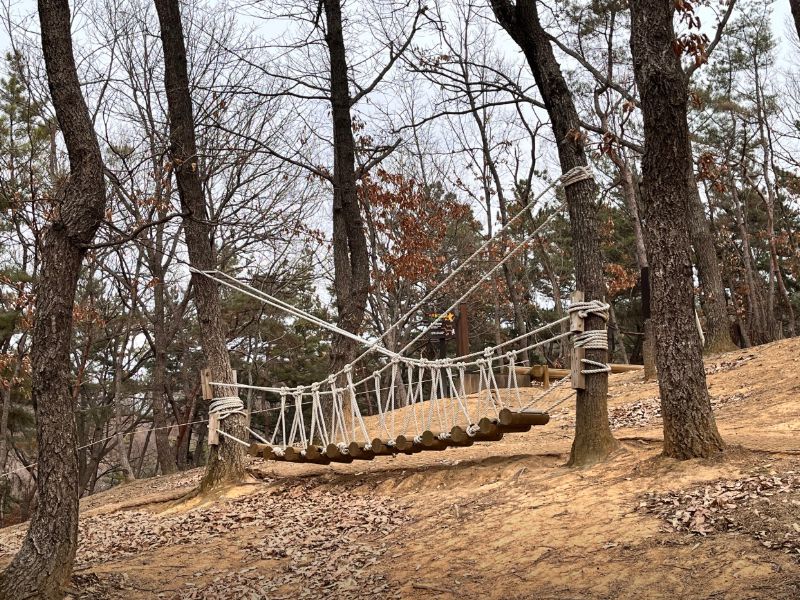비호동산 유아숲체험원