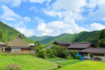 2025년 광주시 농민수당 신청방법 