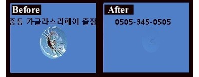 부산 해운대구 자동차유리