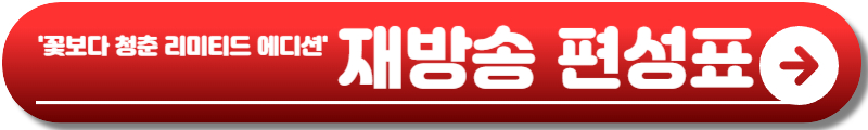 꽃보다 청춘 리미티드 에디션