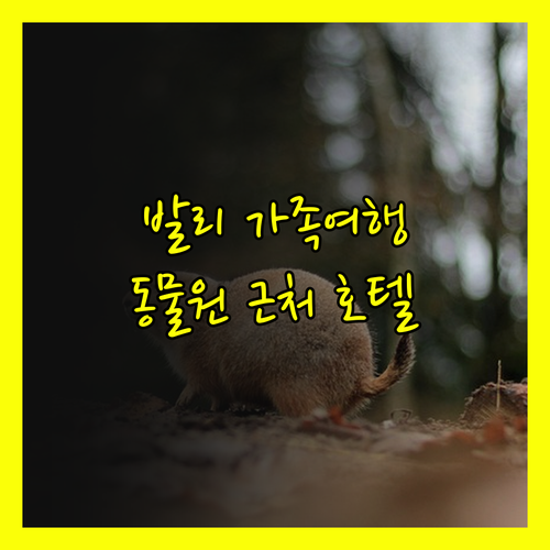 발리 가족여행 숙소 고민 끝 발리 동