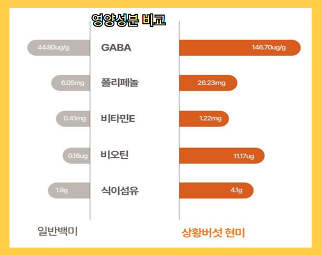 상황버섯 쌀 효능