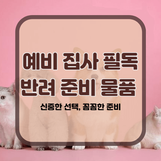고양이 입양 준비물
