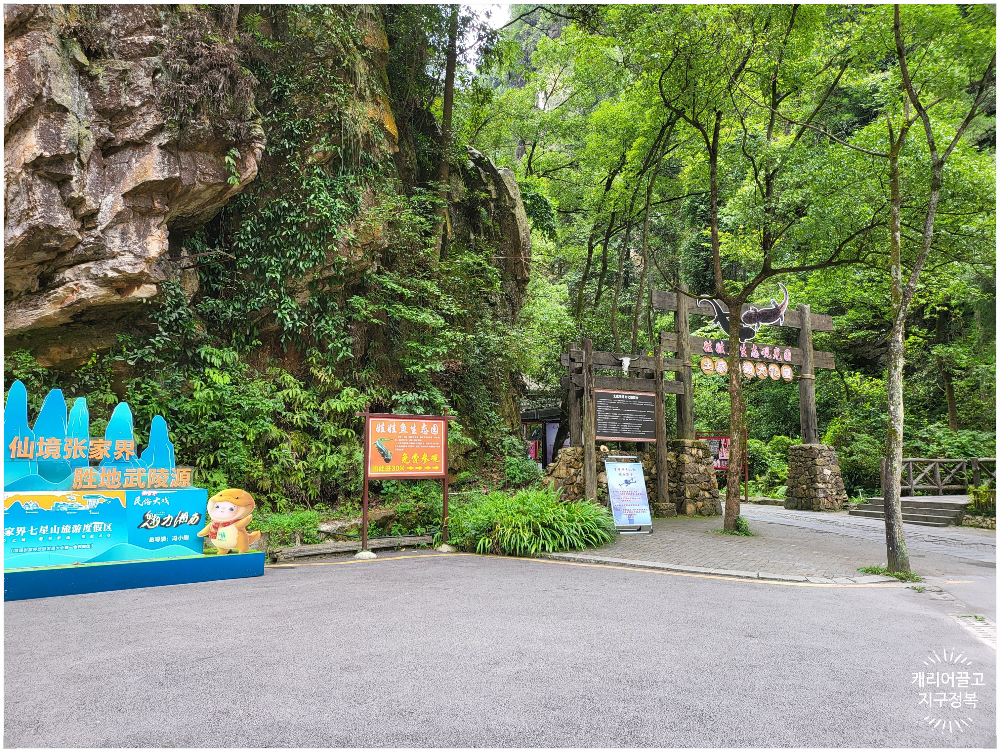 장가계 보봉호수