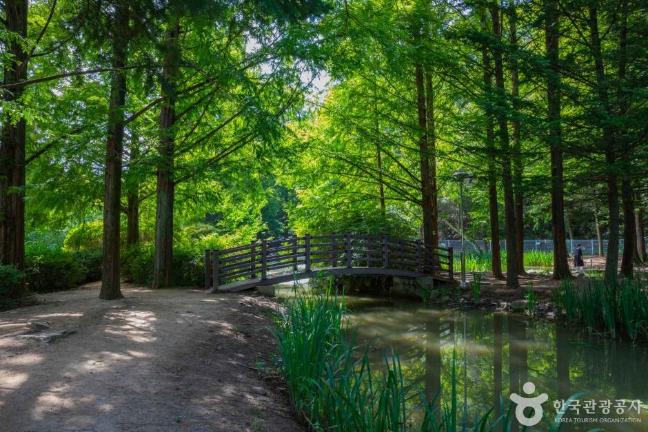 안동 가볼만한곳 베스트10