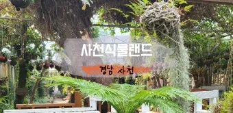 사천 가볼만한곳 맛집 추천 카페 애견동반 관광 명소_22