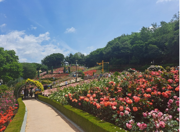 부천 장미축제 날짜 주차장