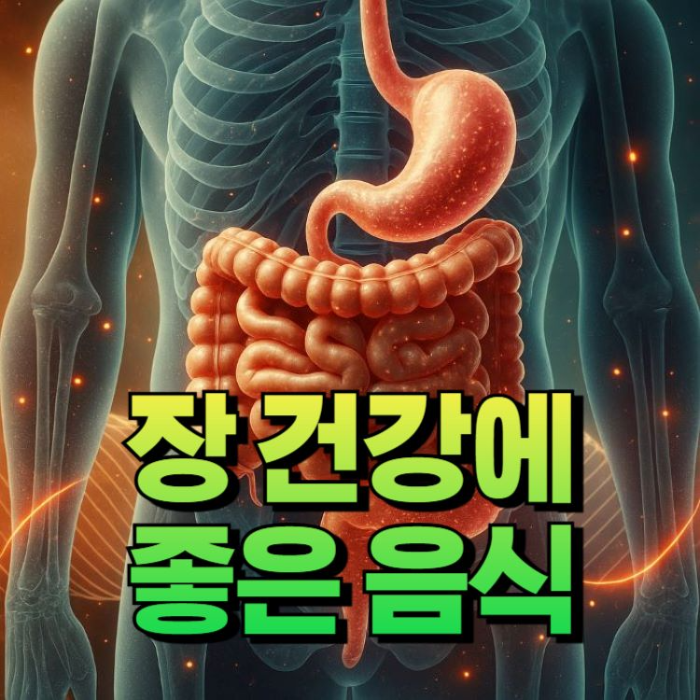 장 건강에 좋은 음식 썸네일 이미지