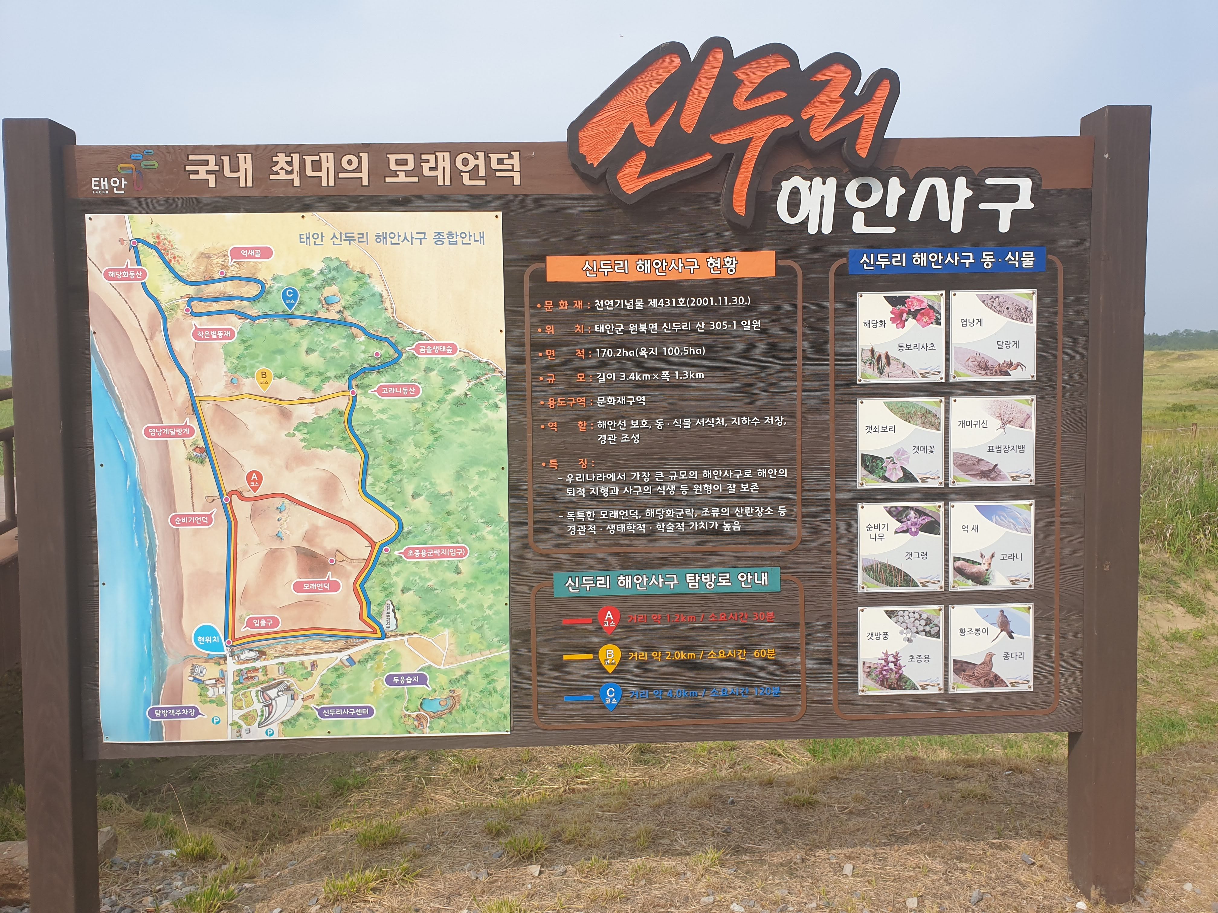 신두리 해안사구 표지판