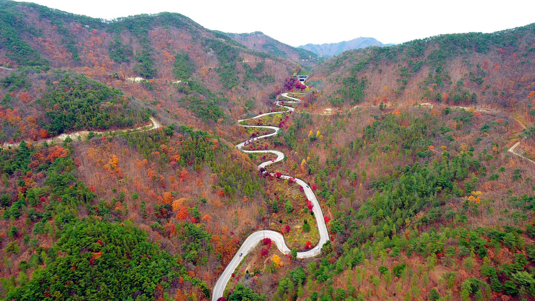 충북 보은 속리산 말티재 자연휴양림 예약 여행 숙소 정보 주변 단풍 명소 계곡 트레킹 등산 할인 날씨 정보