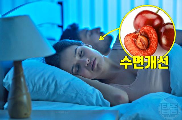 체리 만성염증 수면장애 불면증 멜라토닌
