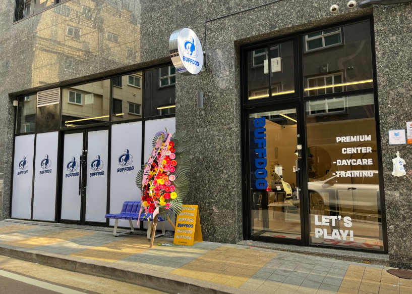 버프독 정보