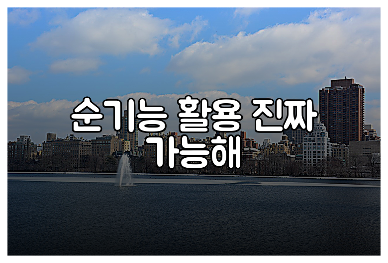 순기능 활용 진짜 가능해