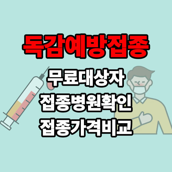 임산부 노인 독감예방접종 시기 무료 유료 비용 가격 기간