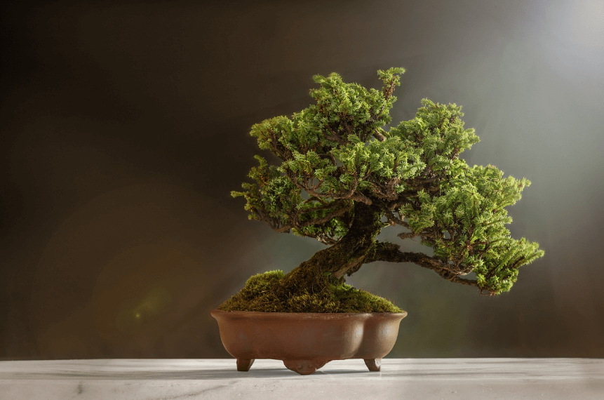 청년내일채움공제 신청 조건 총정리 - 2년 만에 1,200만 원 만드는 법 관련사진