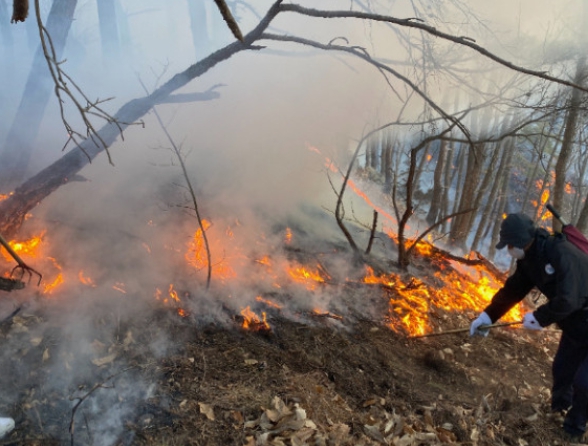 경북 산불 재난지원금